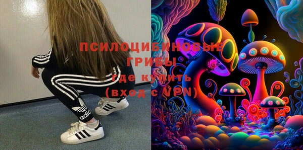 шишки Краснотурьинск