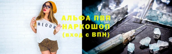шишки Краснотурьинск