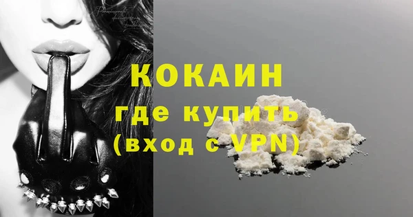 шишки Краснотурьинск