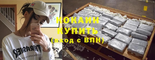 шишки Краснотурьинск
