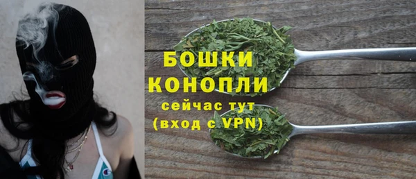 шишки Краснотурьинск
