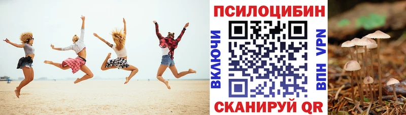 Псилоцибиновые грибы мухоморы  Купить закладки  Данков 